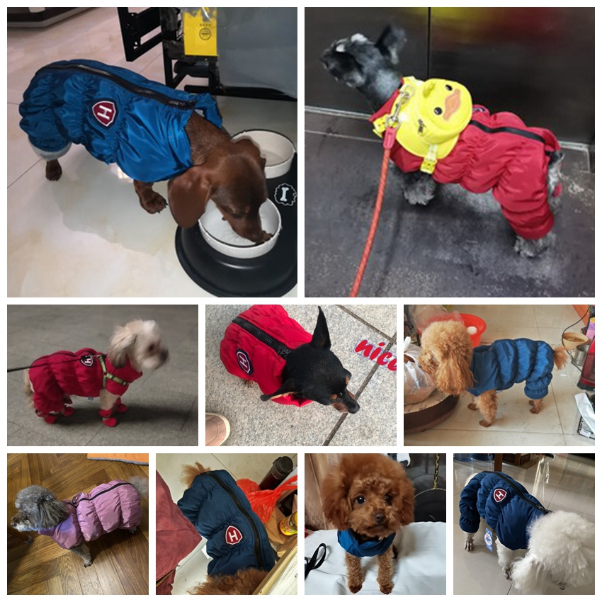 Zipper Snow Unisex Dog Waterpr - Winter Clothing For Babies review and price